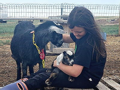 A young girl holding a baby goat while the mother goat gets petted.