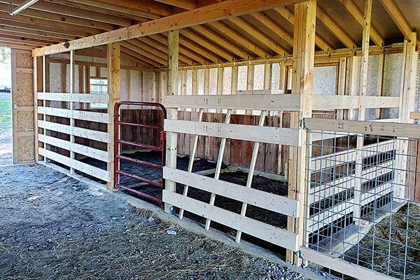 A permanent pen built to house beef cattle.