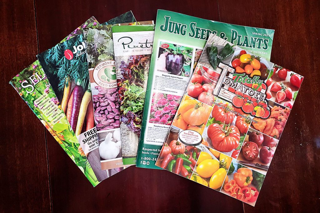 Seed catalogs offering mail order vegetable seeds.