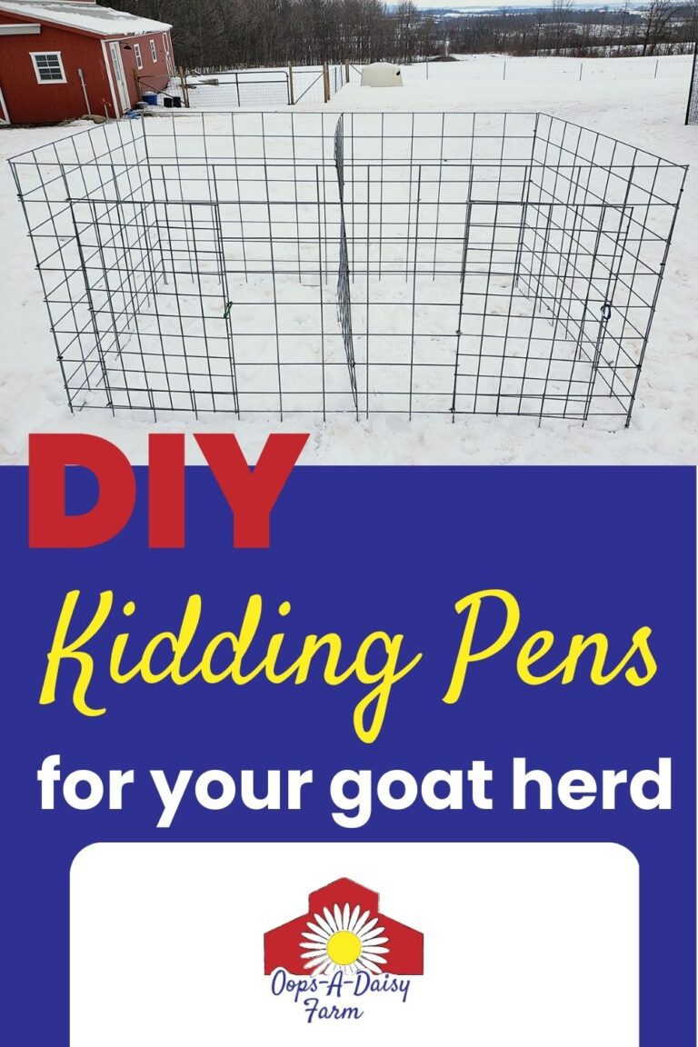 DIY Goat Kidding Pens OopsADaisy Farm