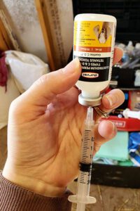 A bottle of Clostridium Perfringens & Tetanus vaccine.