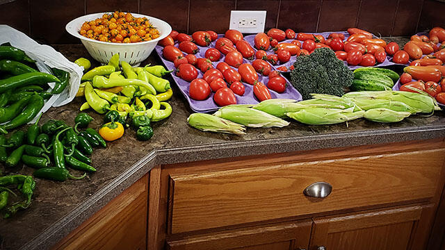 A kitchen counter filled with peppers tomatoes, broccoli, corn, and cucumbers.