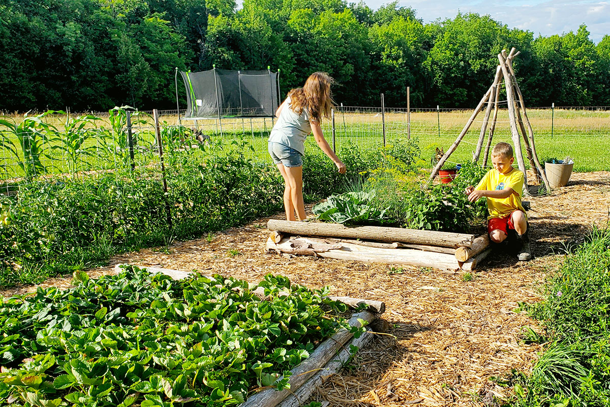 Yes, You Should Plant a Vegetable Garden! Here's Why