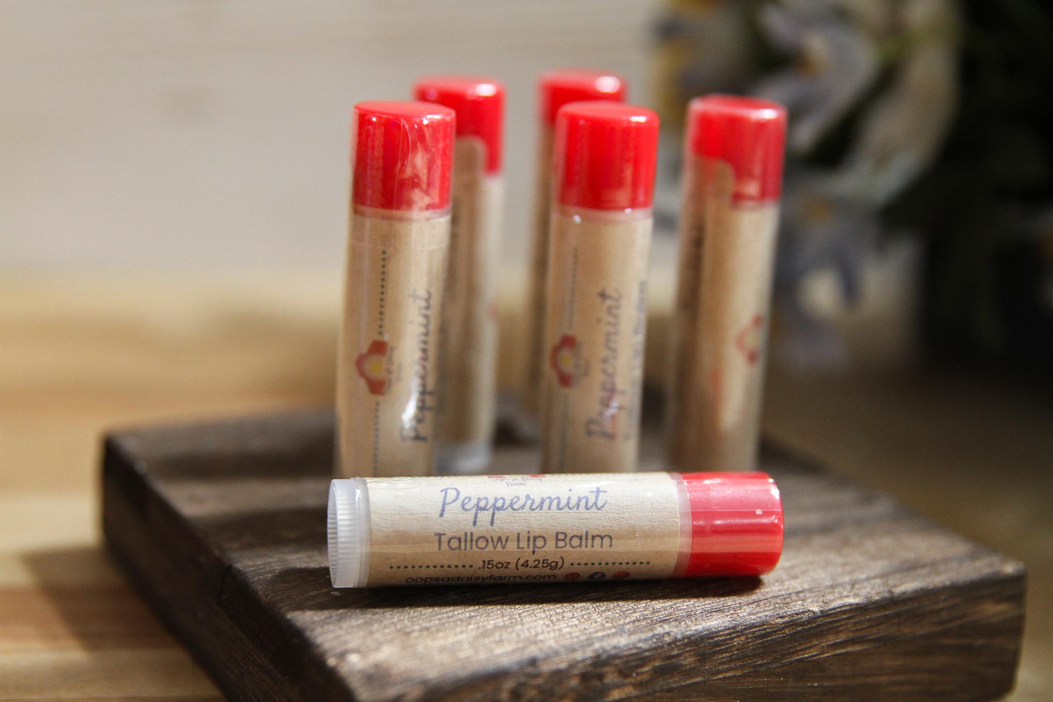 Tallow Lip Balm - Image 5